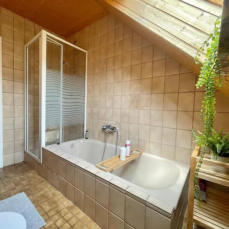 Apartment Harzperle - Lautenthal *
